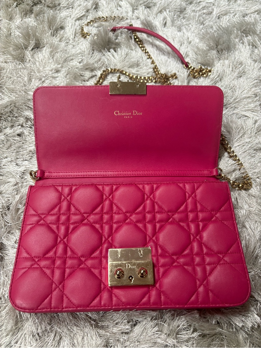 Lady Dior WOC Hot Pink Quilted Leather Chain Crossbody - Picture 4 of 14